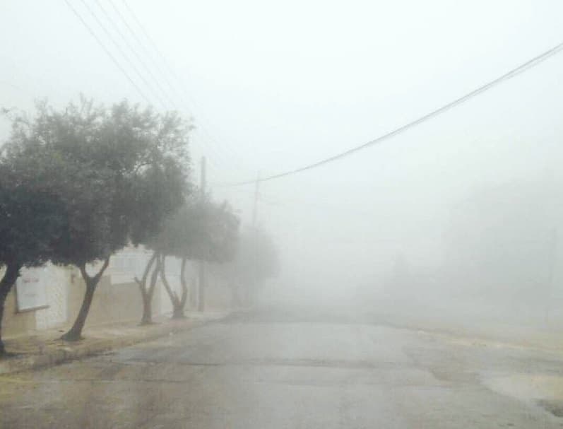Meteorological Dept warns of fog reducing visibility at night