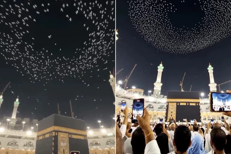Birds over Kaaba uncover truth