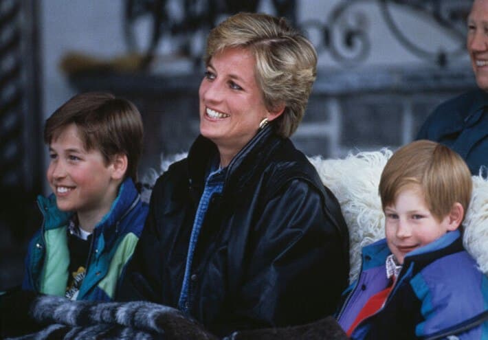 Harry shares daily burden of questions about Diana