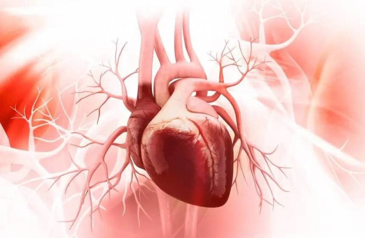 Cardiologist recommends 6 steps for heart health
