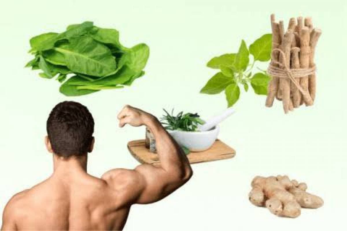 Natural Ways to Boost Male Testosterone