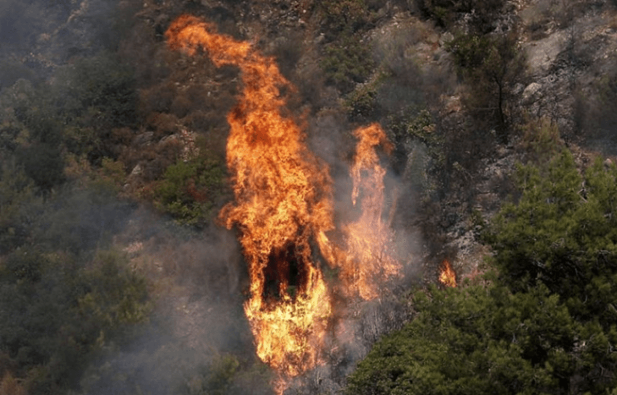 Civil Defense suppresses fire in Ehden forests