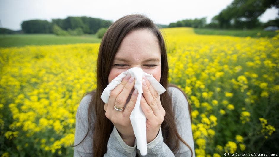 Most Common Allergies in Germany
