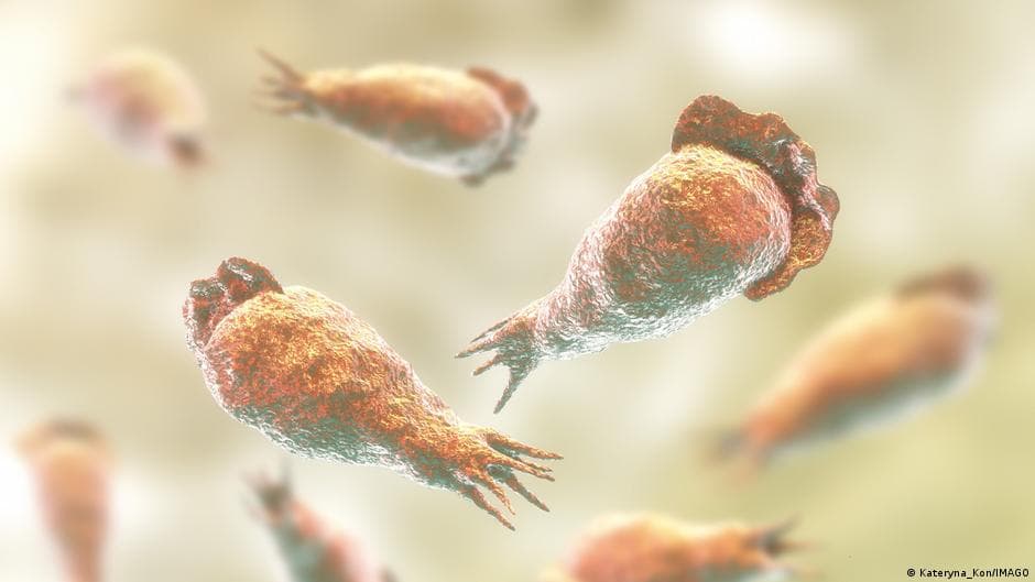 Tragic Swimming Accident Causes Amoeba Death