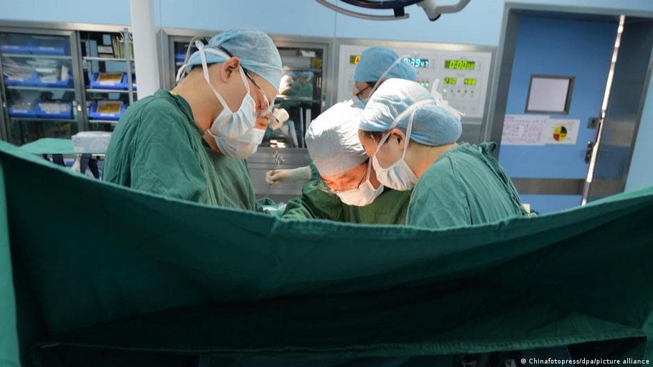 Man Lived with Pig's Kidney Before Transplant