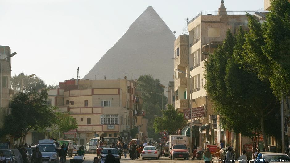 جدل في مصر حول تدمير الغابات
