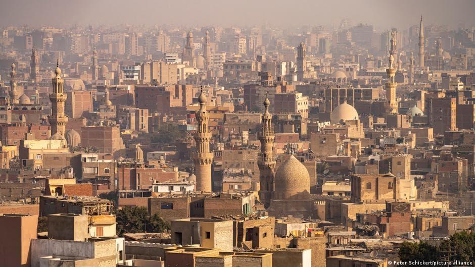 مصر والتحدي مع أشجارها