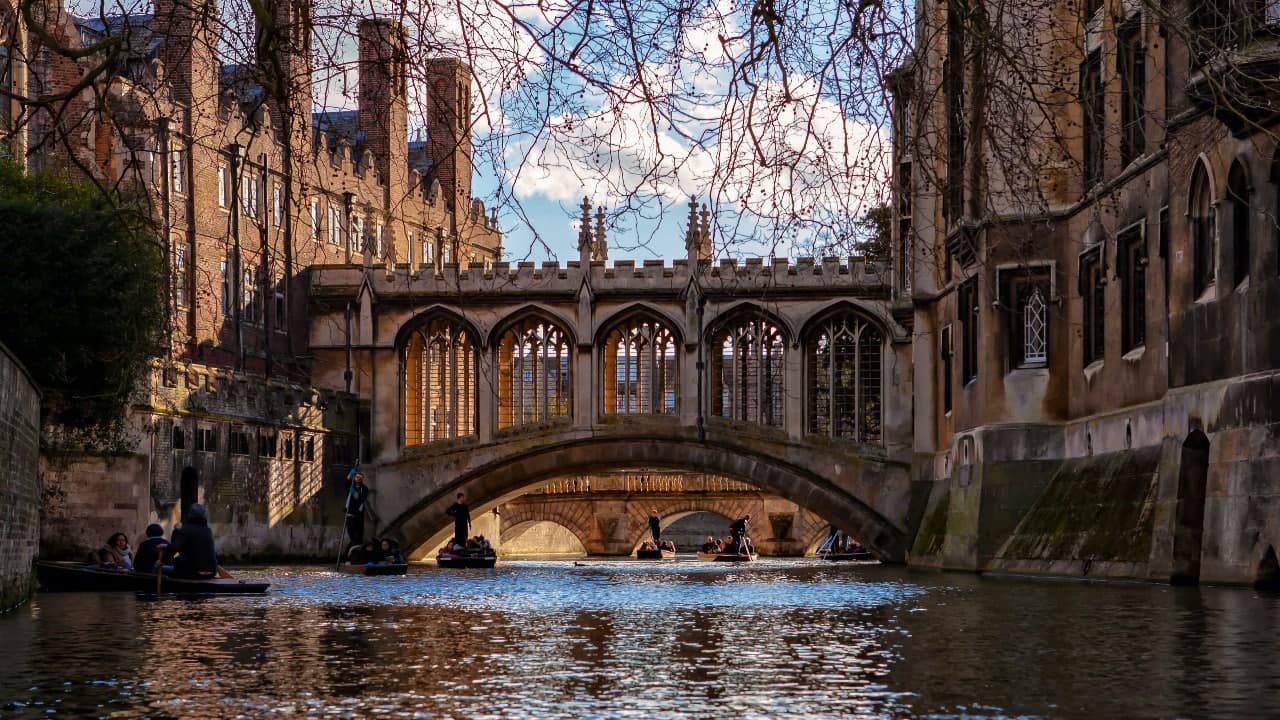 Cambridge Prof Resigns Over Plagiarism