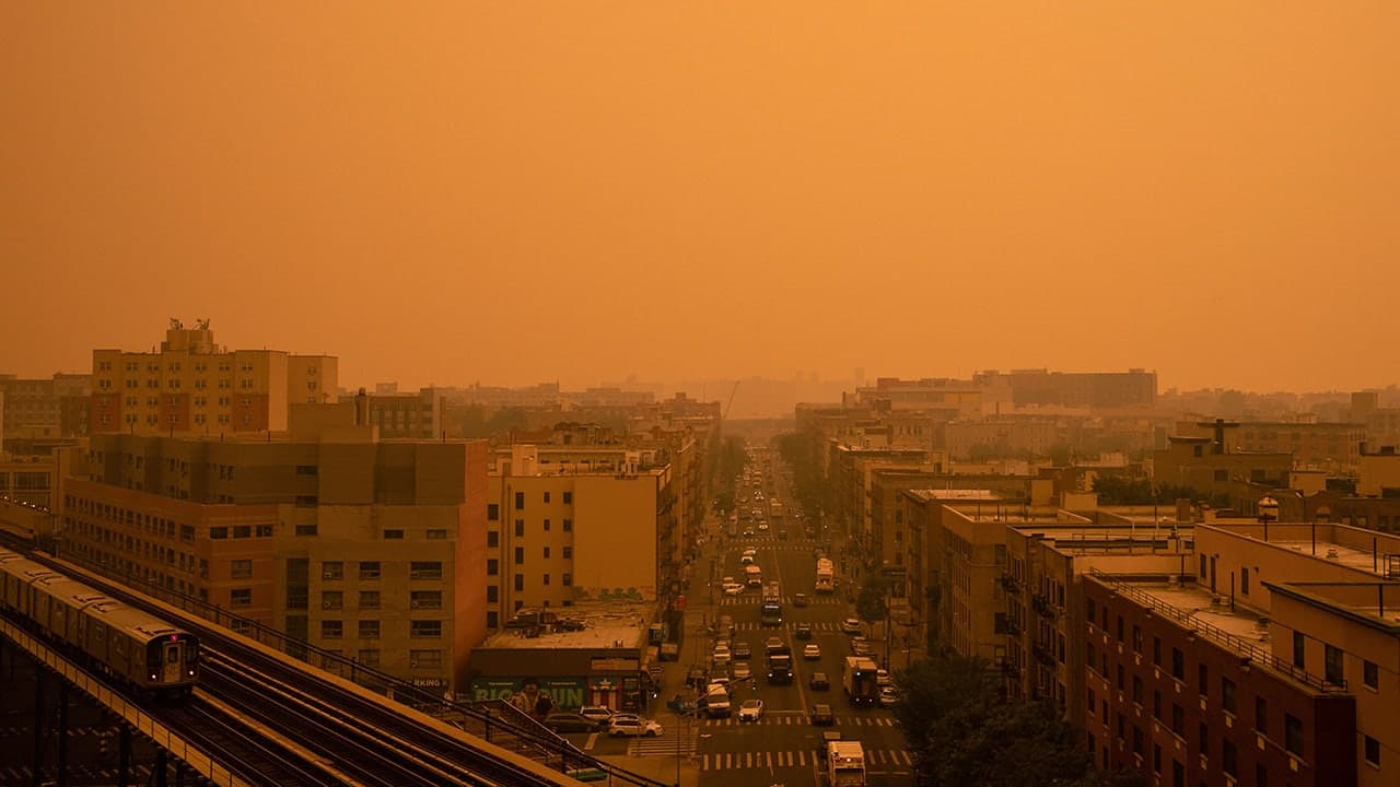 Green agenda faces serious flaws