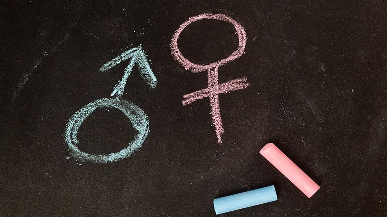 Detransitioners on Medical Guidance in Youth