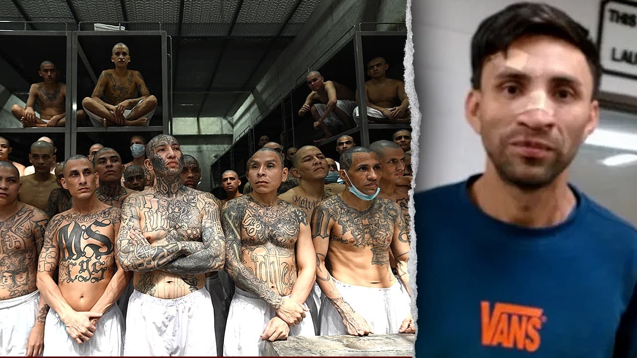 MS-13 murder suspect released by judge