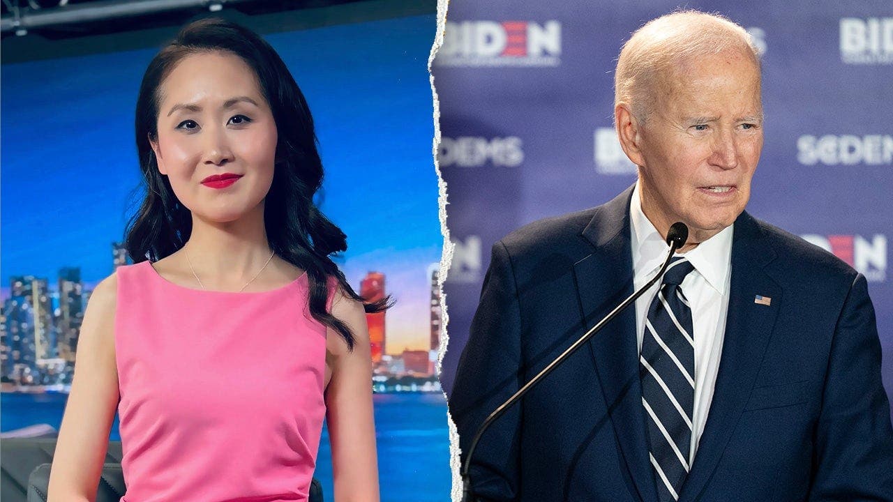 Ex-Dem fundraiser links socialist rise to Biden leadership gap