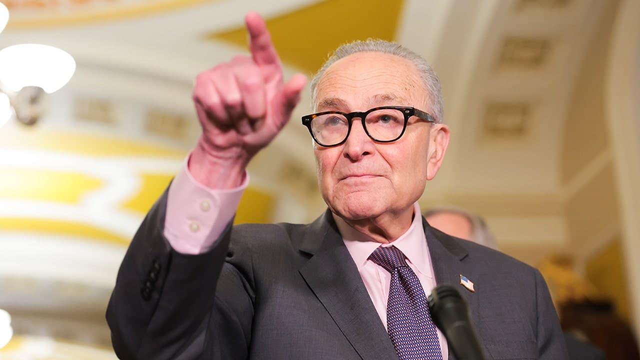Schumer claims Democrats back voter ID but all oppose GOP bill