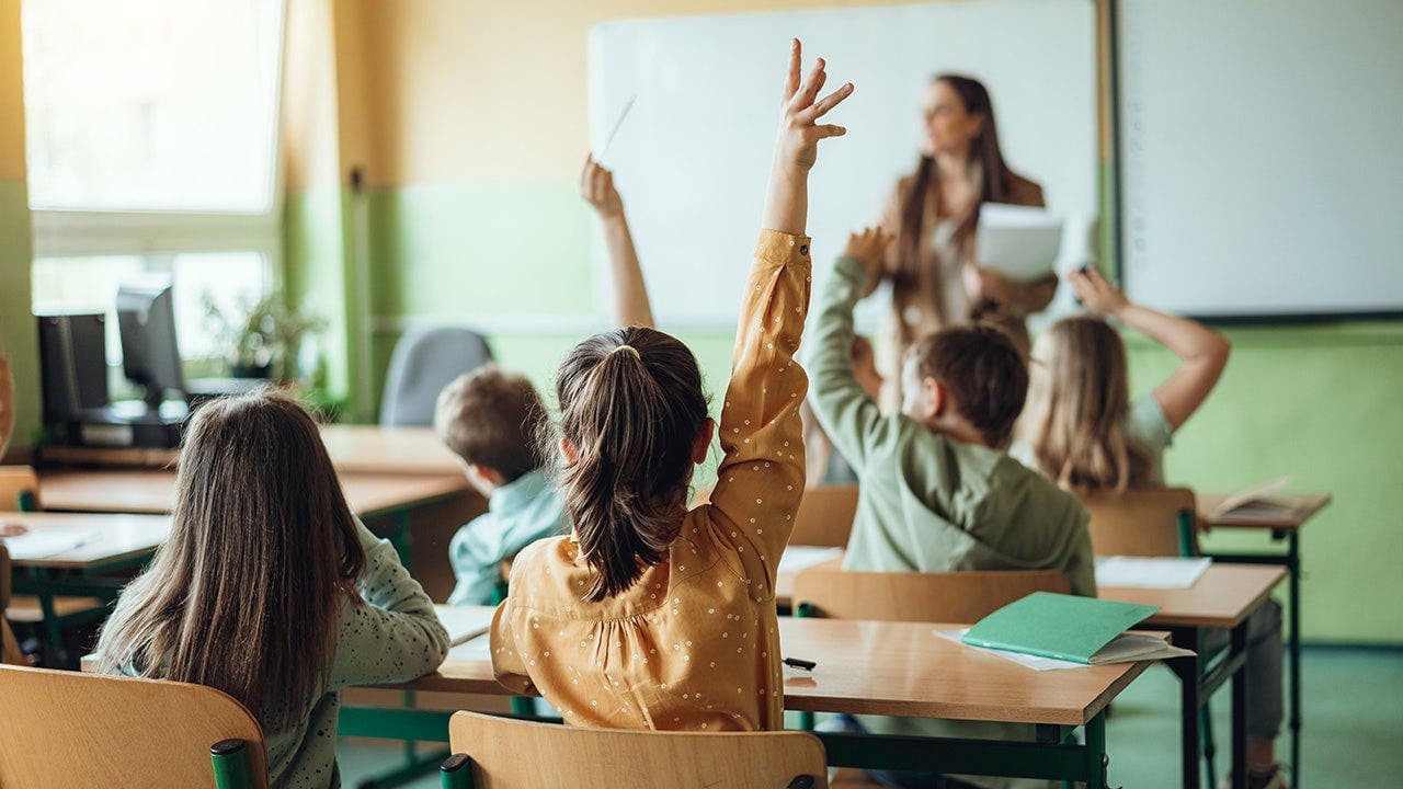 Modern civic education must do more to oppose socialism