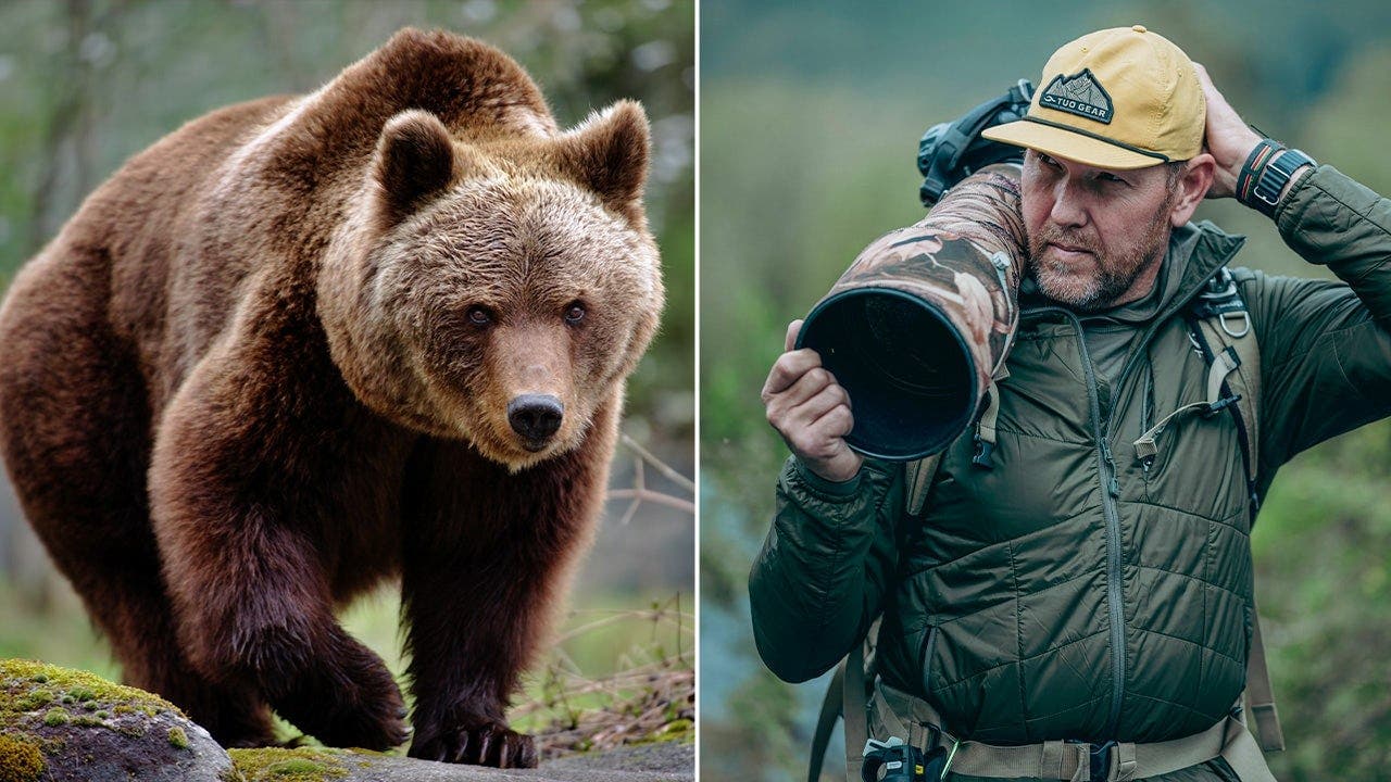 Wildlife Photographer Remains Calm as Brown Bear Approaches