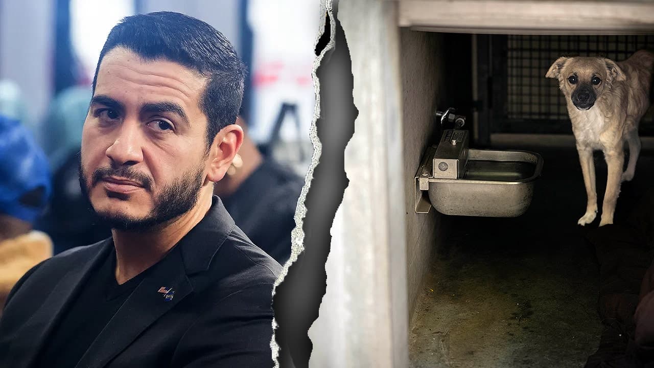 El-Sayed faces scrutiny over viral animal control record