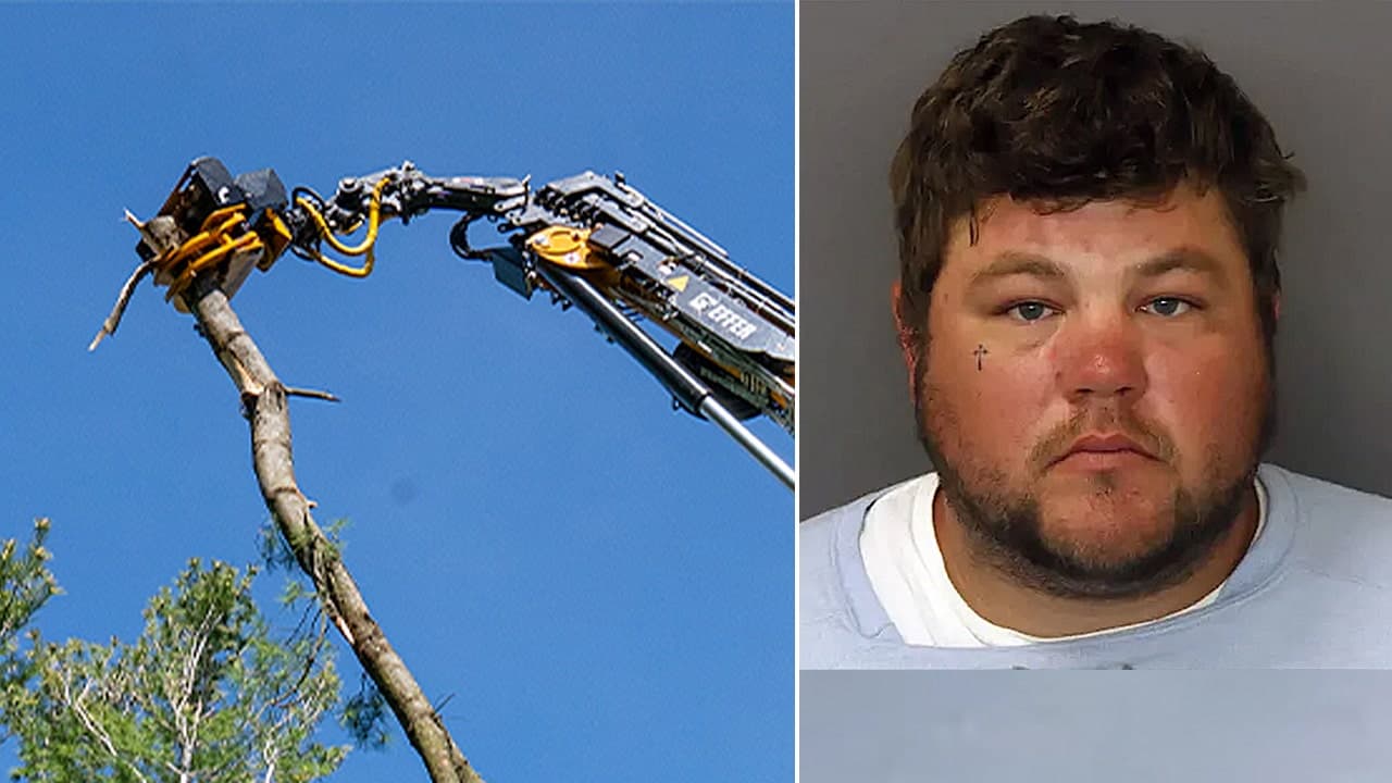 Minnesota tree trimmer faces charge over coworker death