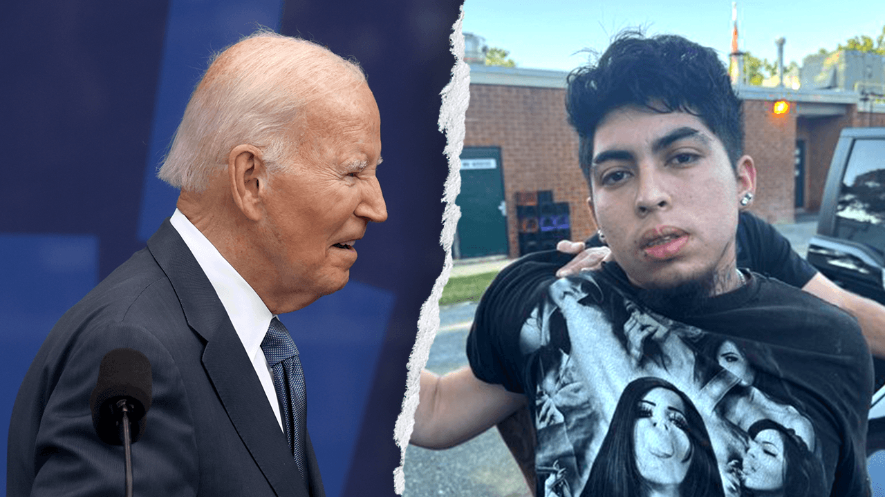 Biden admin releases suspect in Fairfax mother stabbing