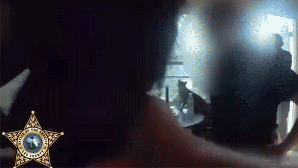 Florida man kills kittens in front of teen