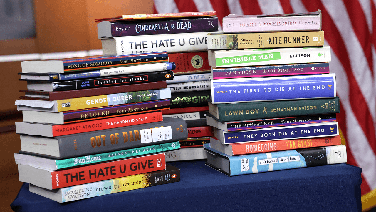 Georgia district defends removing explicit book