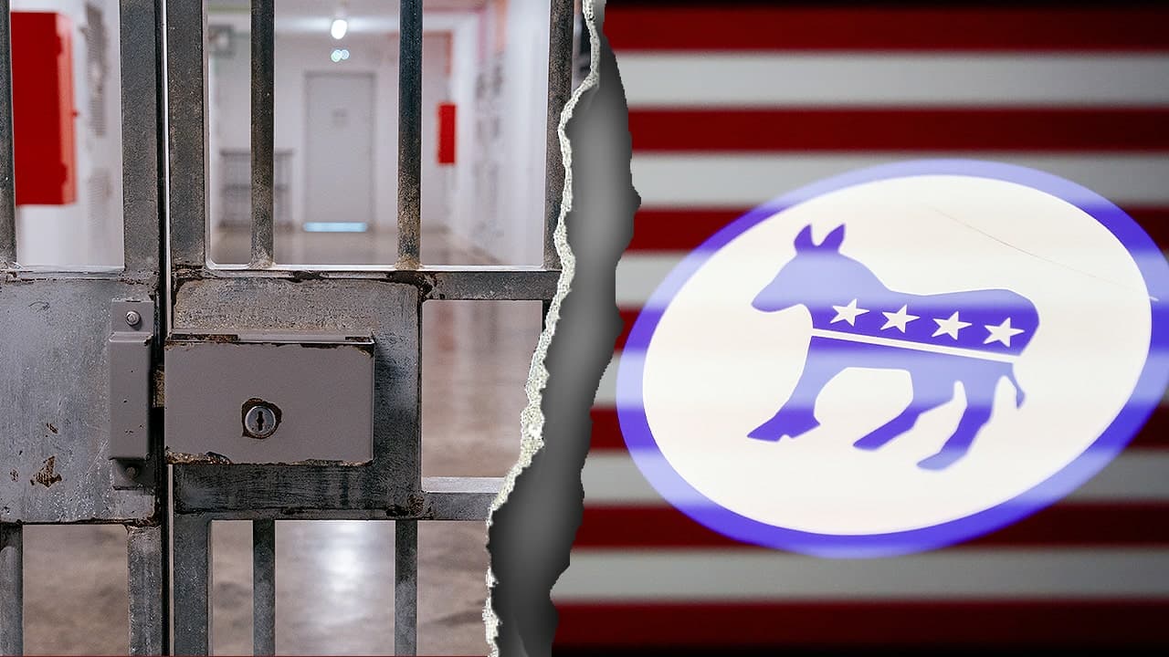 Dem operative faces fate after FBI child abuse bust
