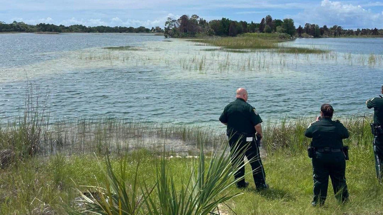 Alligator injures swimmer despite signs
