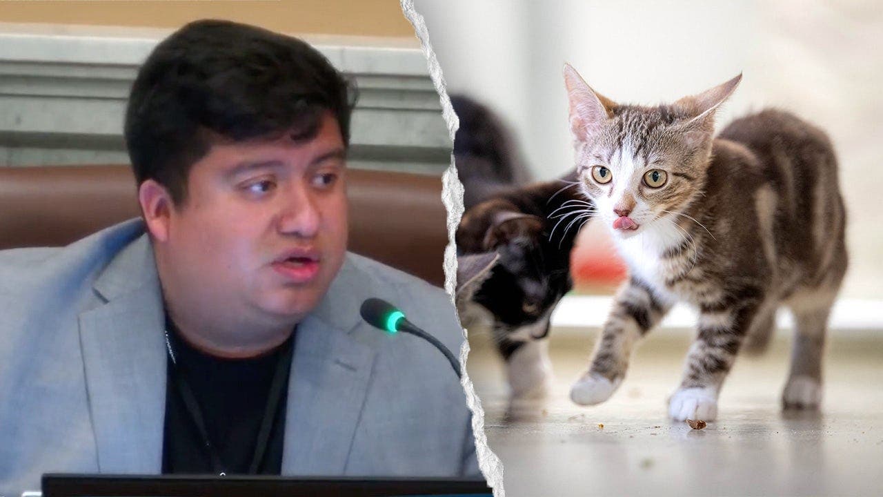 Blue state councilman mocks self-driving cars over pet deaths
