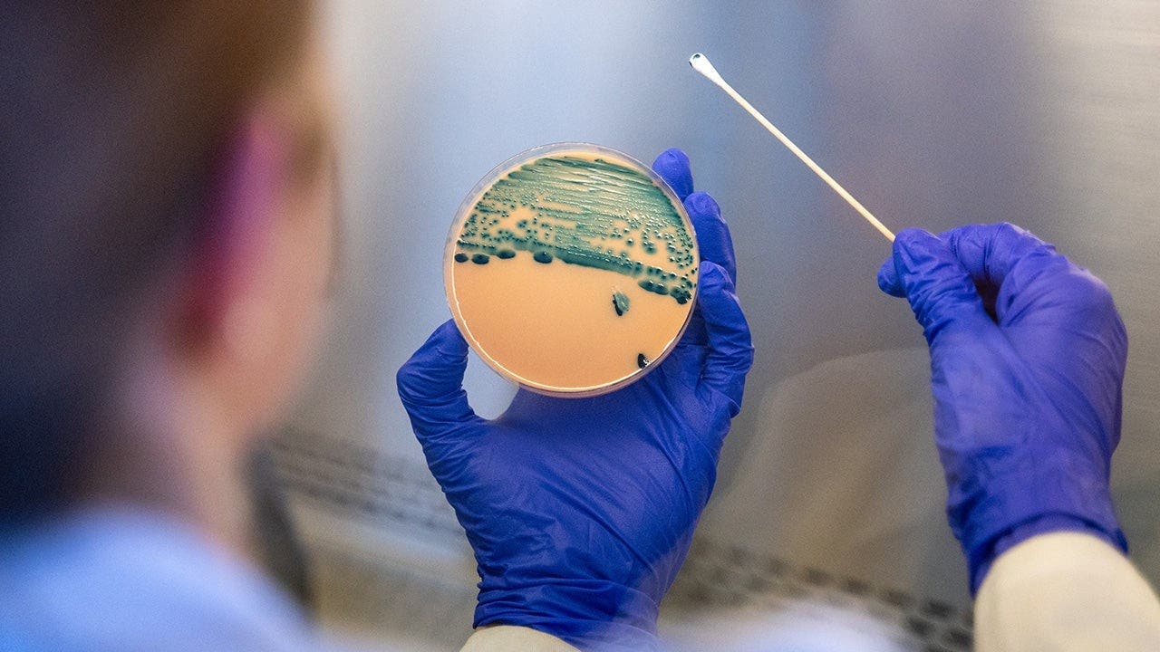 Rising STI struggles despite treatment