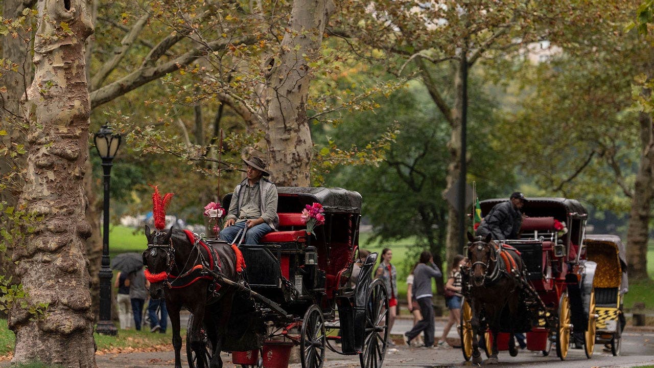 NYC to abolish historic horse carriage era
