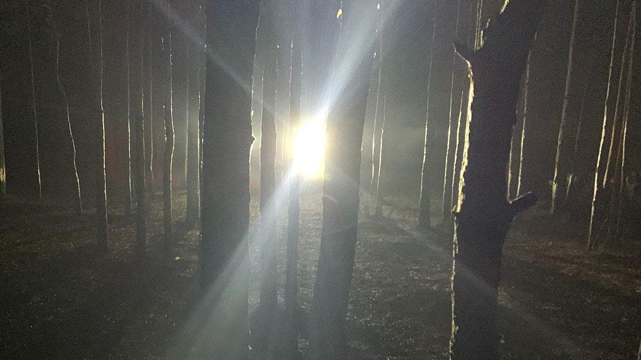 Kentucky boys see Bigfoot in woods