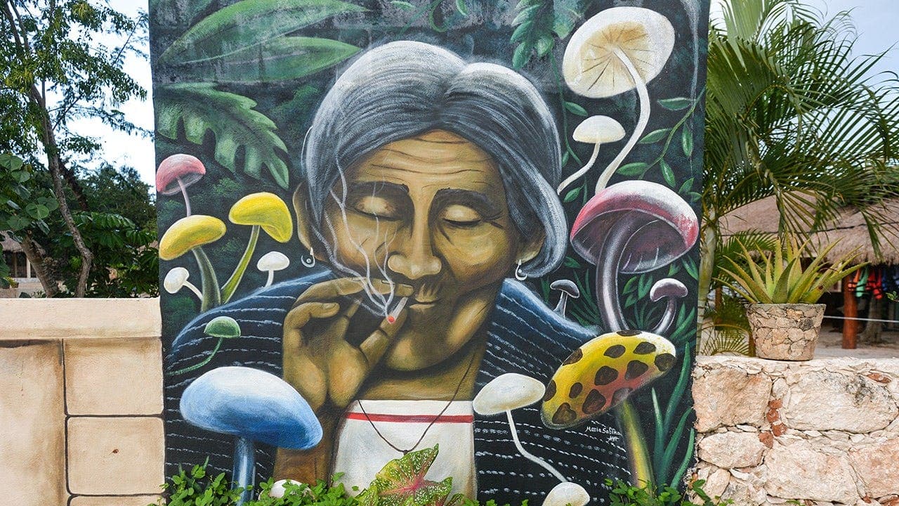 CEOs spend $20K on psychedelic brain rewiring