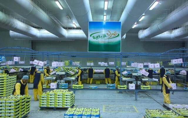 Tabuk Agriculture transfers 300,000 Afaaq Food shares