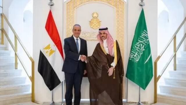 Saudi and Egyptian ministers discuss regional stability