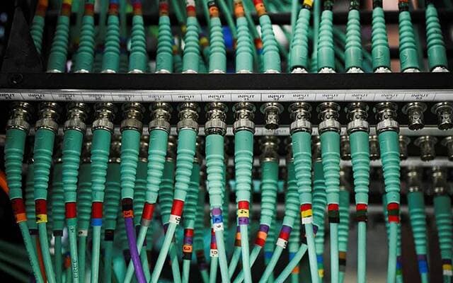 Global government sites affected by programming flaw