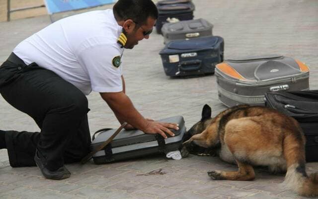 1131 Illegal Item Seizures at Ports in a Week