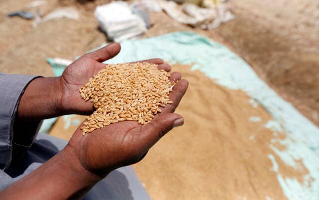 Wheat prices reach one-month high amid Black Sea issues