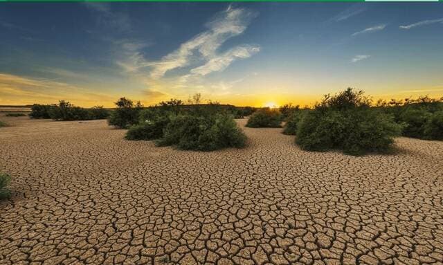 Saudi Arabia heads global drought alliance