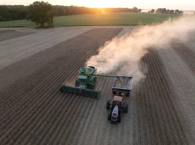 Chinese firms purchase 260,000 tons of US soybeans