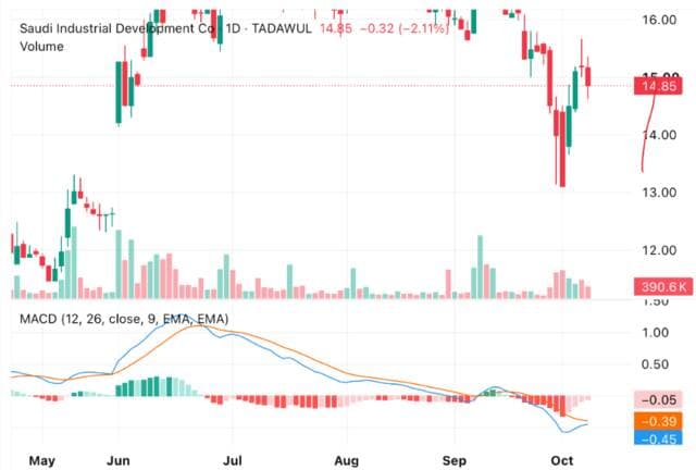 Sadaq share signals reversal after correction