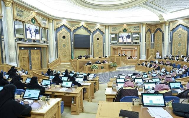 Shura Council urges REDF to explore new financing options