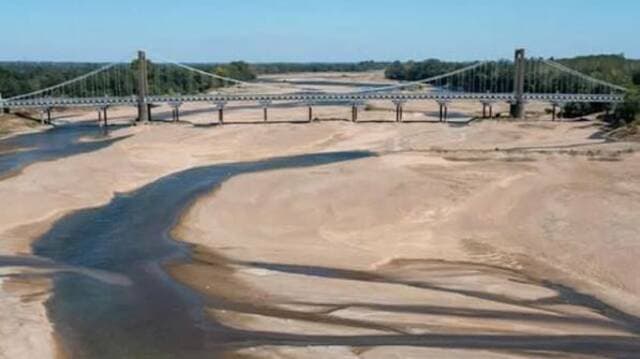 Rhine River water levels hit new lows