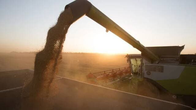 European wheat prices climb amid Black Sea tensions