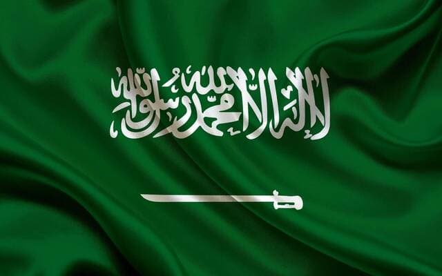 Saudi Arabia unveils new revenue system