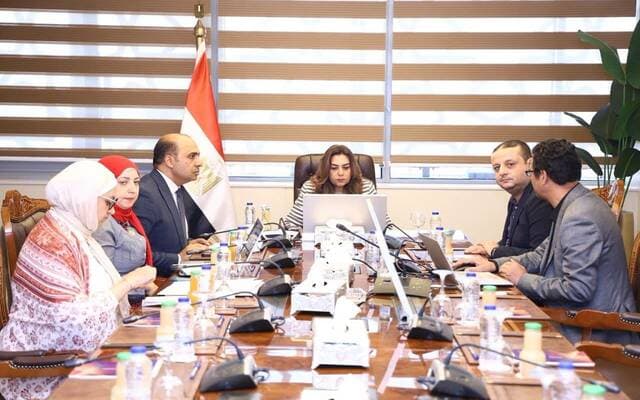 مصر تطلق نظام تسجيل المنتجين والمستوردين إلكترونيا