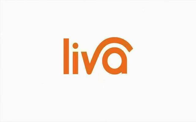 Lifa Company Adds Three to Board