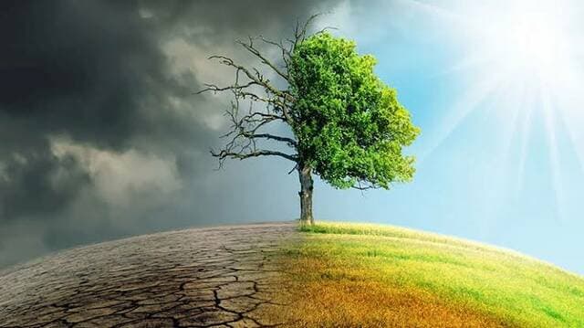 Global renewable capacity surpasses previous records