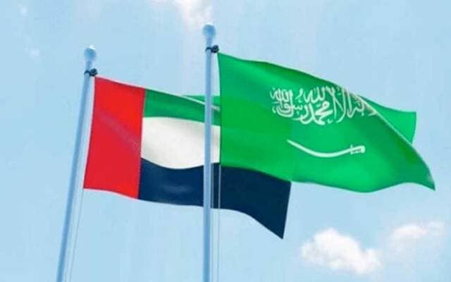 السعودية والإمارات تحققان غالبية نمو مراكز البيانات