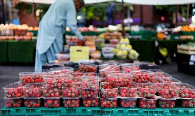 FAO Reports Record Food Price Rise