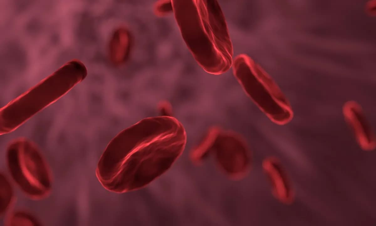 علماء يطورون خلية من البداية