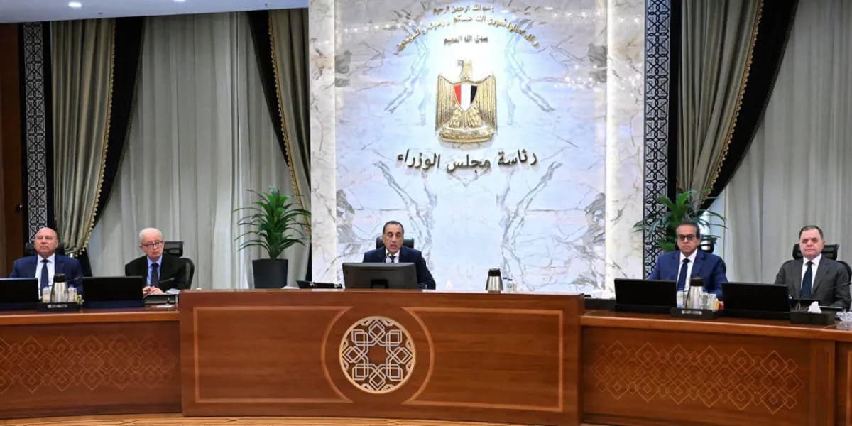 من هم المرشحون لتولي وزارة الثقافة المصرية بعد استقالة جيهان زكي؟